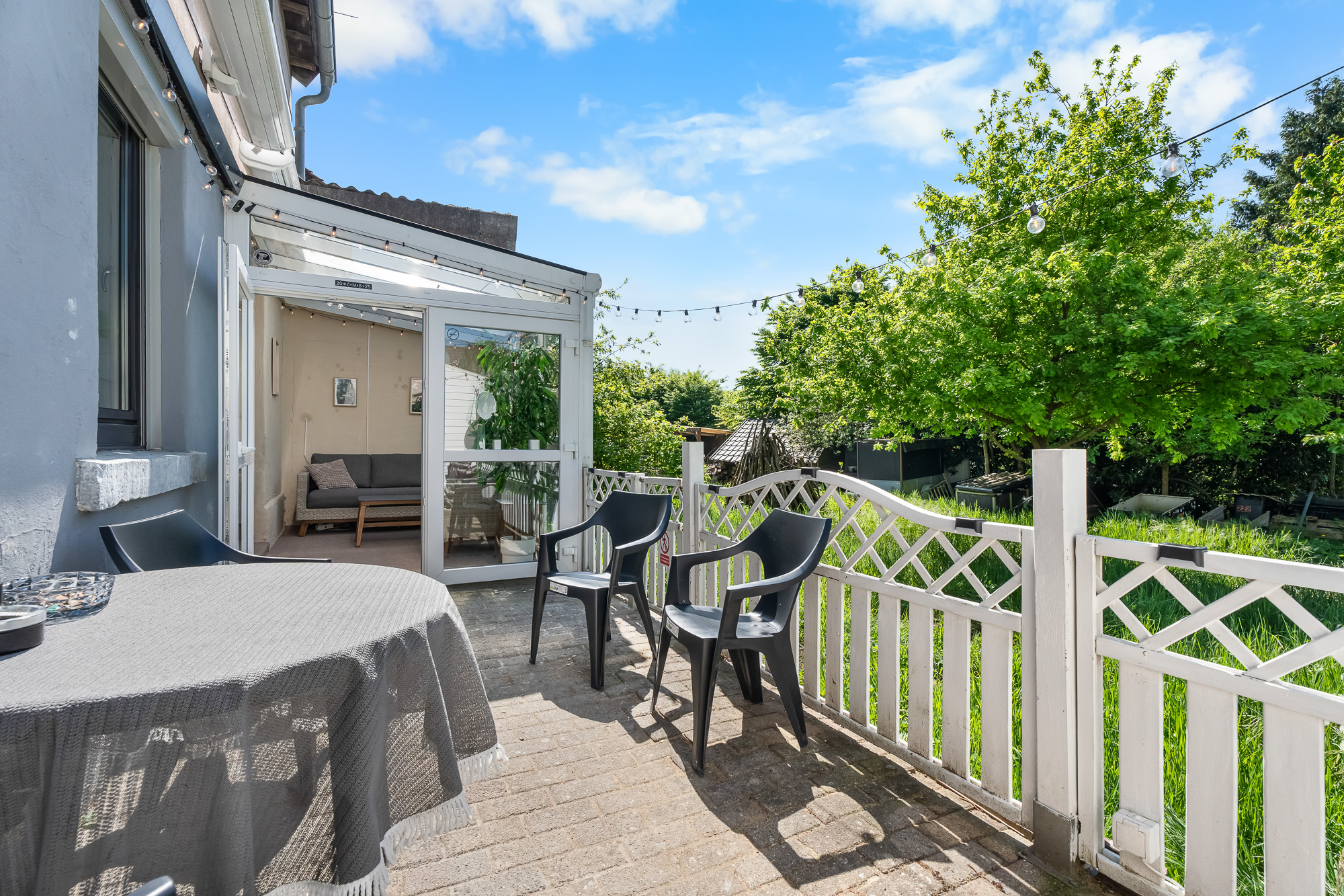 Forest & Nest & Peak – Bild 3