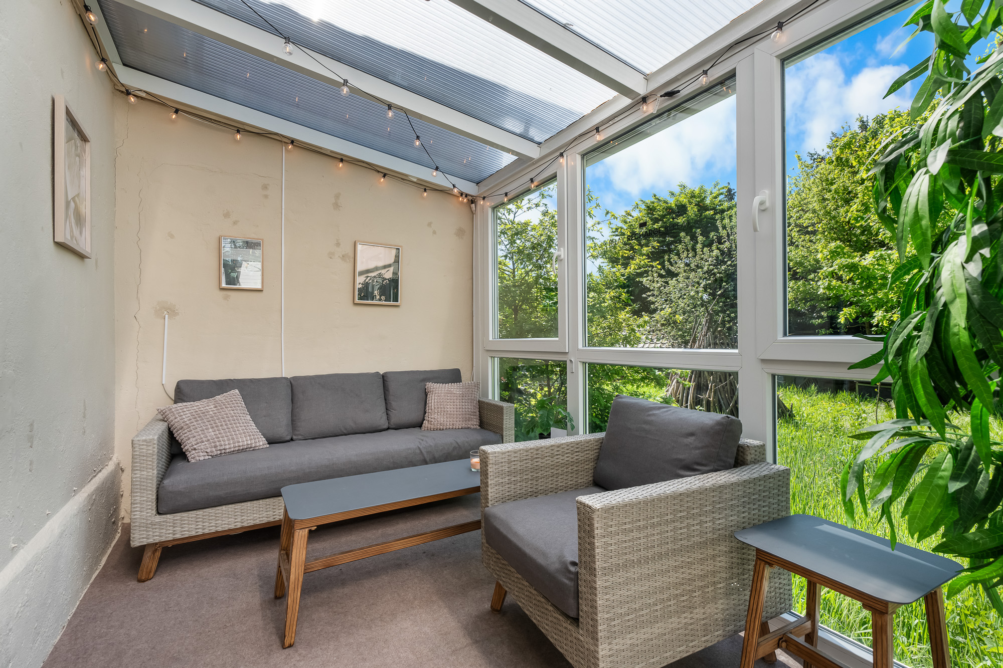 Forest & Nest & Peak – Bild 4