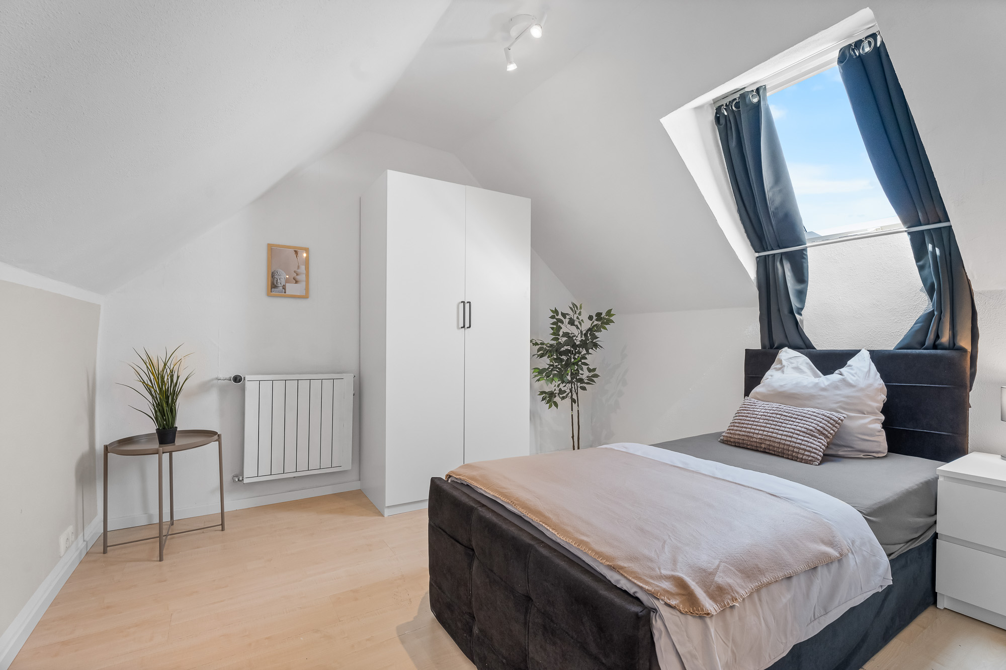 Oasis & Peak – Bild 3